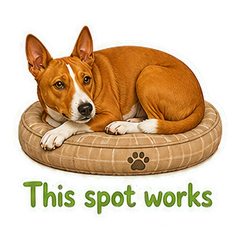 Sticker 8