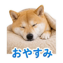 スタンプ12