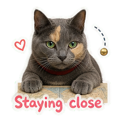 Sticker 10