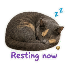 Sticker 11