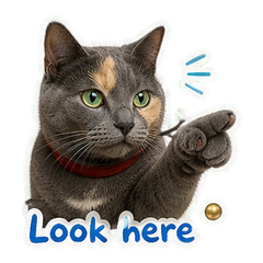 Sticker 6
