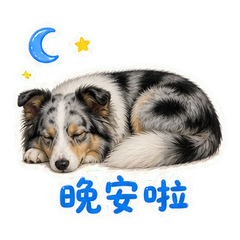 表情 12