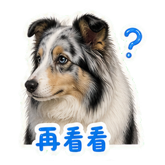 表情 6