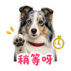 云斑在陶砖院 sticker 4