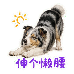 表情 11