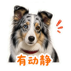 表情 5