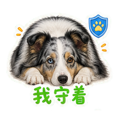 表情 7