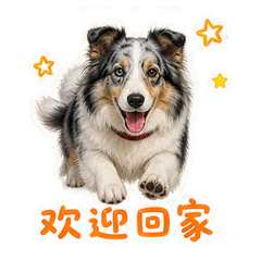 表情 10