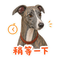 表情 4