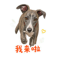 表情 1