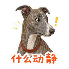 表情 7