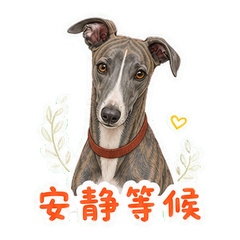 表情 6