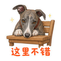 表情 8