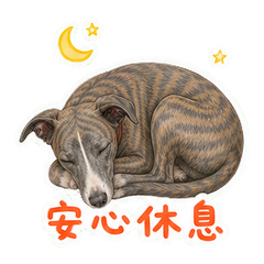 表情 12