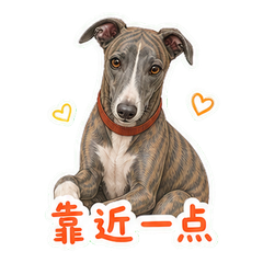 表情 11