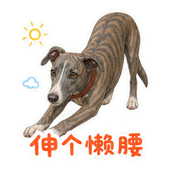 表情 10