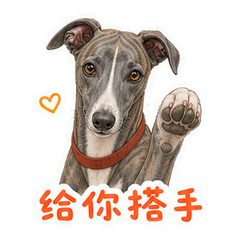 表情 5