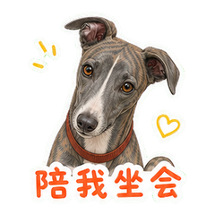 表情 9