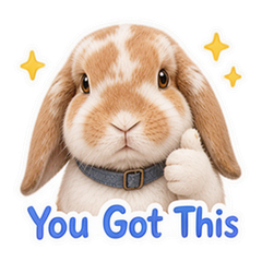 Sticker 7