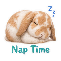 Sticker 11