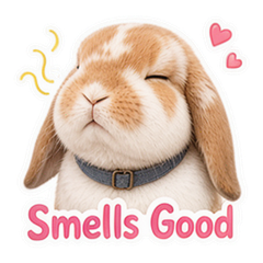 Pip the Florist Lop sticker 2