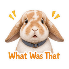 Sticker 6