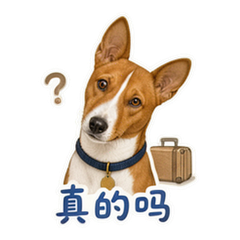 表情 6