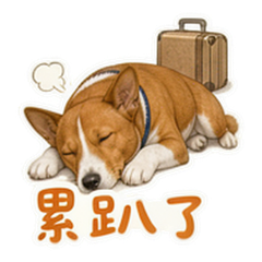 表情 11