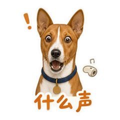 表情 5