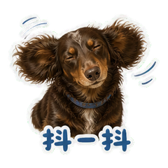表情 9
