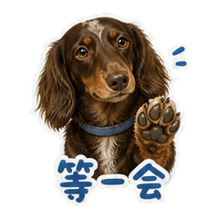 表情 4