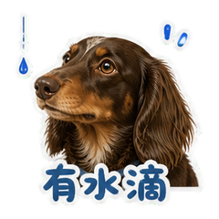 表情 5