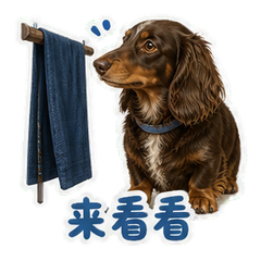 表情 1