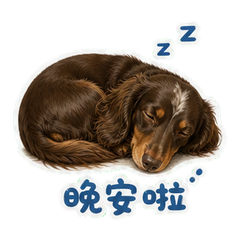 表情 12