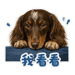 表情 7