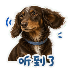 表情 3