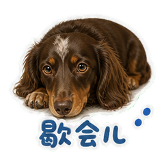 表情 11