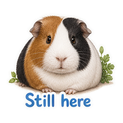 Sticker 6