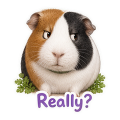 Sticker 5