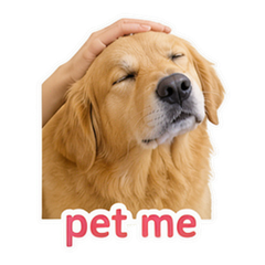 Pet Owner Reactions #2