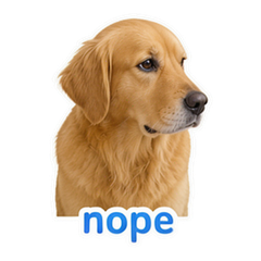 Pet Owner Reactions #3