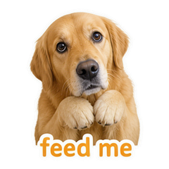 Pet Owner Reactions #1