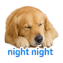 Sticker 12