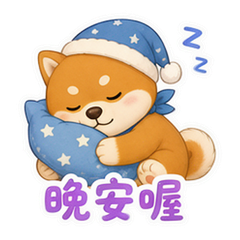 貼圖 12
