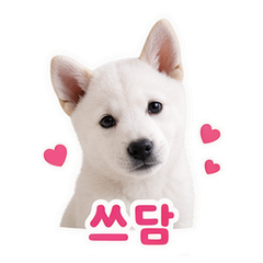 이모티콘 2
