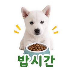 이모티콘 11