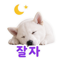이모티콘 12