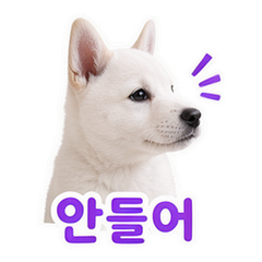 이모티콘 3