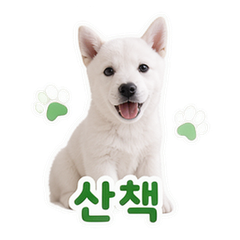 이모티콘 6