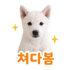 이모티콘 9